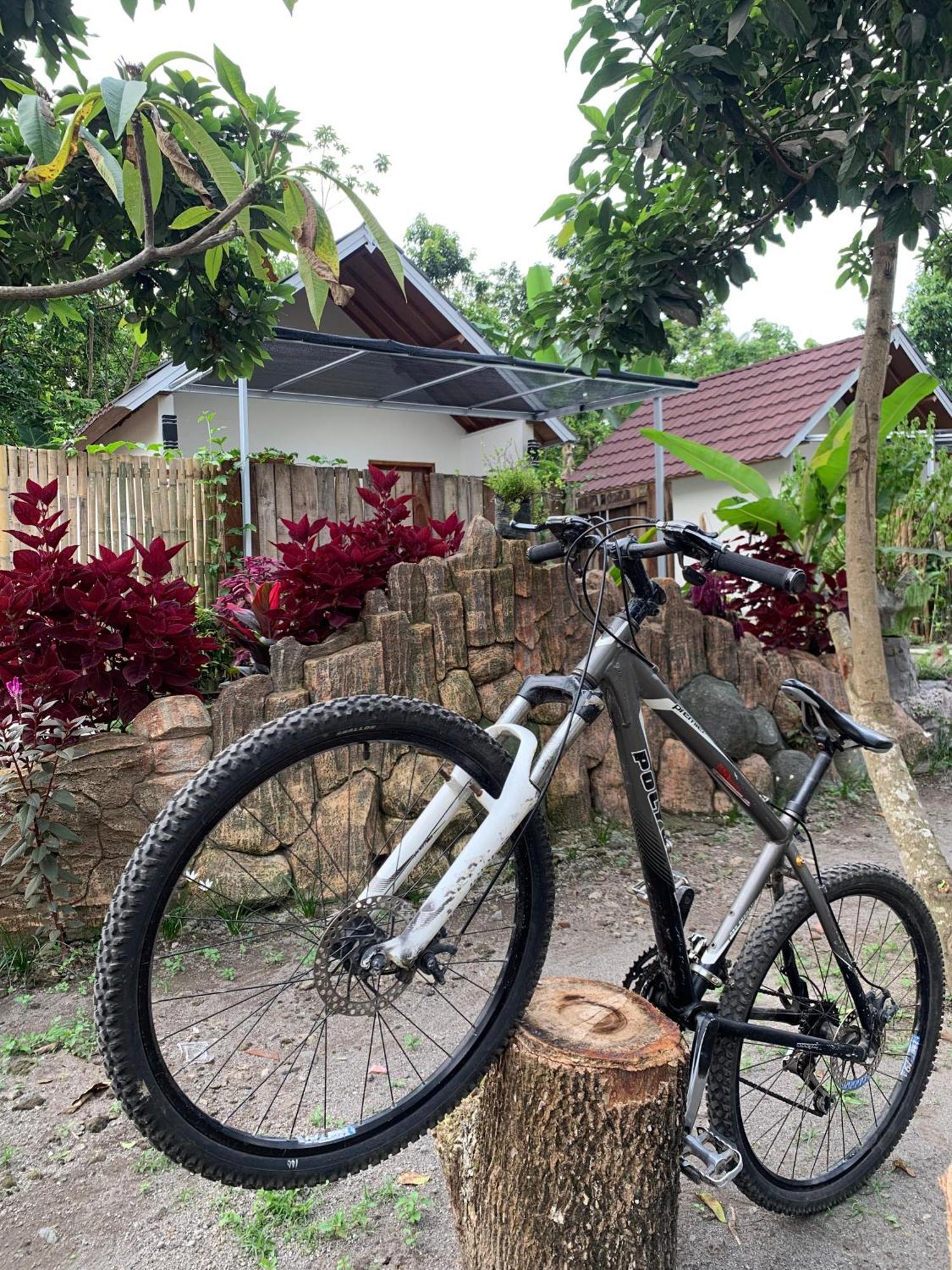 Avocado Homestay Tetebatu Exterior foto