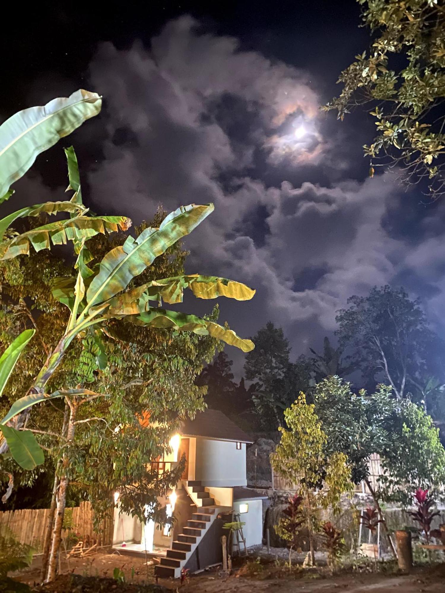 Avocado Homestay Tetebatu Exterior foto